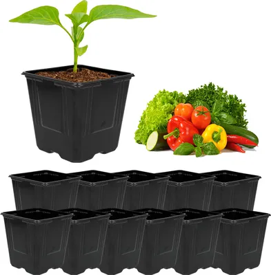 Produktbild von Satz von 12 Kunststoffblumentöpfen 7 x 7 x 8 cm Garden Line