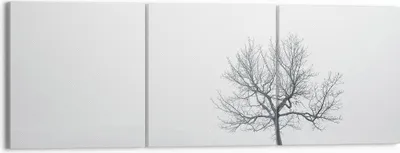 Produktbild von Bild auf Leinwand - Leinwandbild - Baum Feld Natur - 150x50cm - Wand Bild - Wanddeko - Wandbilder - Leinwanddruck - Bilder - Kunstdruck - Wanddekoration - Leinwand bilder - Wandkunst - CA150x50-3683