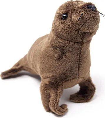 Image de Cornelissen - Doudou - lion de mer - 20 cm