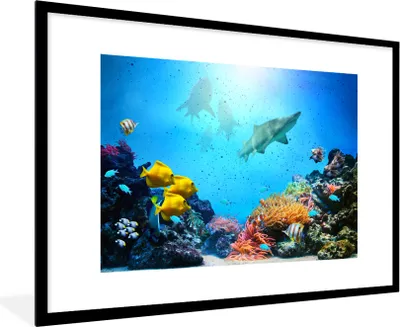 Produktbild von MuchoWow® MuchoWow® Gerahmtes Poster Meer - Fische - Korallen 90x60 cm - Poster mit zchwarzem Bilderrahmen - Wanddekoration - Fotos