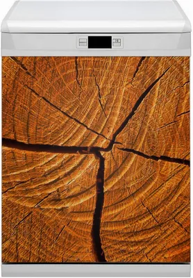 Produktbild von Magnetmatte Geschirrspüle Abwaschbar Küche Magnete  Dekor 60x80 cm  - Baumstamm
