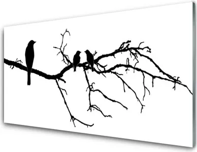 Produktbild von Acrylglasbilder 100x50 Wandbild Druck Vögel Zweig Kunst