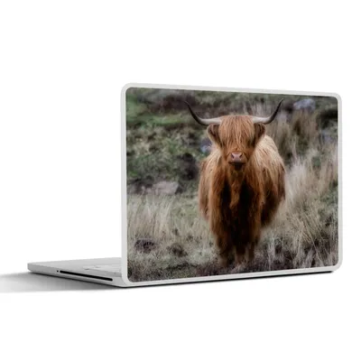 Produktbild von MuchoWow® Laptop Aufkleber Sticker Cover Schottischer Hochländer - Moos - Gras 30x21 cm - Sticker für Laptop - Selbstklebend