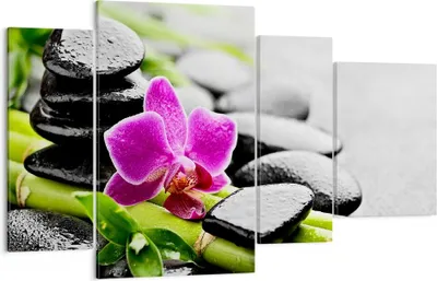 Produktbild von Bild auf Leinwand - Leinwandbild - Pflanze Steine Bambus Spa - 120x70cm - Wand Bild - Wanddeko - Leinwanddruck - Bilder - Kunstdruck - Wanddekoration - Leinwand bilder - Wandkunst - DL120x70-2681