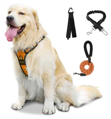 Immagine prodotto di Imbracatura per cani - Regolabile con maniglia - Antifuga - Taglia XL