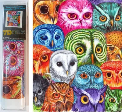 Image de NORIMPEX Peinture au diamant Collage hibou 30x40cm