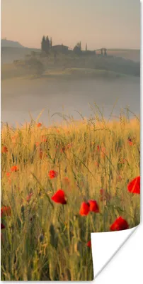 Produktbild von MuchoWow® Poster Toskana - Rosen - Hügel 60x120 cm - Wandschmuck