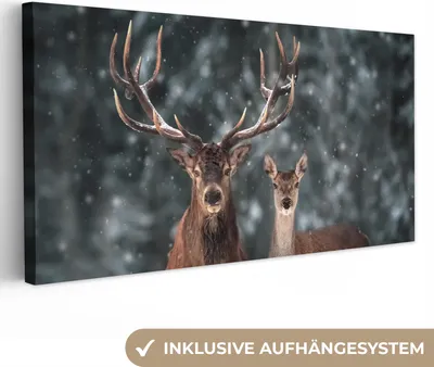 Produktbild von MuchoWow® - Leinwandbilder - Hirsche - Tiere - Winter - Geweih - Schnee - Natur, Wandbild, Wanddeko Bilder Wohnzimmer, 80x40 cm