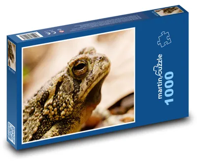 Obrázek produktu pro martinpuzzle - Puzzle 1000 - Ropucha