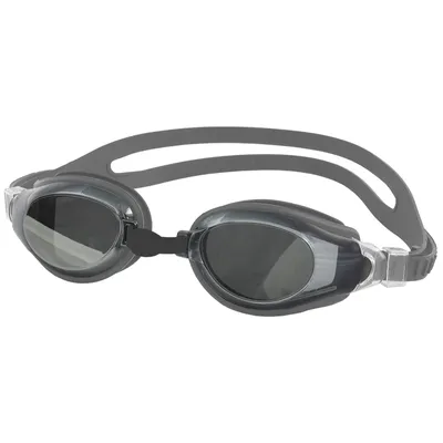 Produktbild von Aqua-Speed Champion Silber Schwimmbrille 26 038