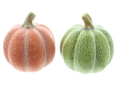 Produktbild von Kürbis "Orange & Grün", 2er Set