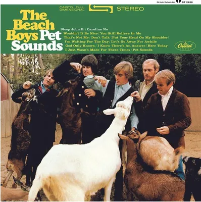 Immagine prodotto di Beach Boys, The-Pet Sounds (Stereo 180g Vinyl Reiss)