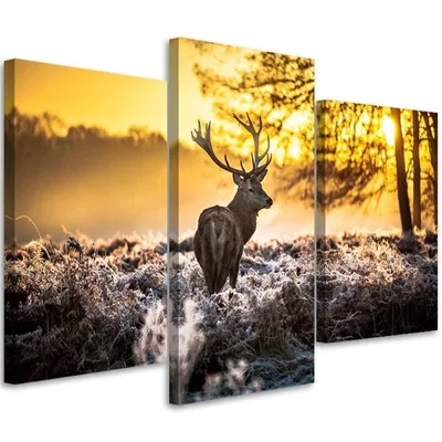 Produktbild von Triptychon auf leinwand rehe am morgen 120x80 cm Feeby gelb wandbild bereit zum aufhängen