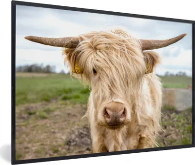Produktbild von MuchoWow® Gerahmtes Poster Schottische Highlander - Licht - Landschaft 90x60 cm - Poster mit Schwarzem Bilderrahmen Wandposter Rahmen Foto Bilder - Fotorahmen - Foto-Plakat