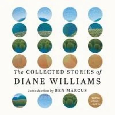 Produktbild von The Collected Stories of Diane Williams