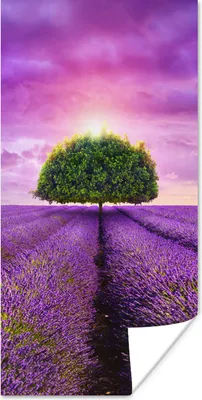 Produktbild von MuchoWow® Poster Lavendel - Baum - Lila - Wolken 60x120 cm - Wandschmuck