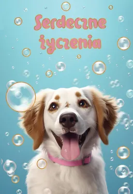 Produktbild von Eine Glückwunschkarte zum Geburtstag – für Hunde