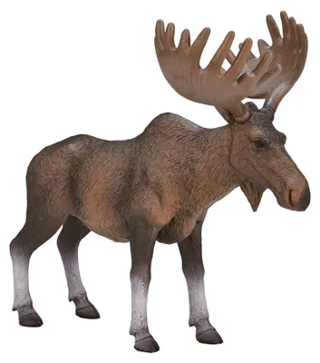 Immagine prodotto di Mojo Wildlife Alce europeo 387023
