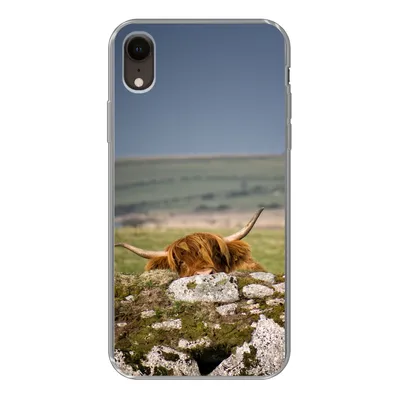 Produktbild von MuchoWow® Handyhülle Schutzhülle Hülle für iPhone XR Schottische Highlander - Steine - Gras Silikon Softcase Handy Hülle - Schutzdeckel