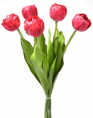Produktbild von Tulpenbund Real Touch 43cm fuchsia Paeonientulpen künstliche Blumen Tulpen 5St.