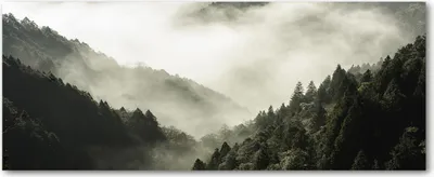 Produktbild von Tulup® Leinwandbild - 125x50 cm - Wandkunst - Drucke auf Leinwand - Leinwanddruck - Landschaften - Schwarzweiß - Nebel über dem Wald