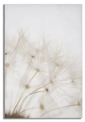 Imagen del producto de Impresión pintada Tin con dientes de león blancos y dorados en lienzo 80x120 cm
