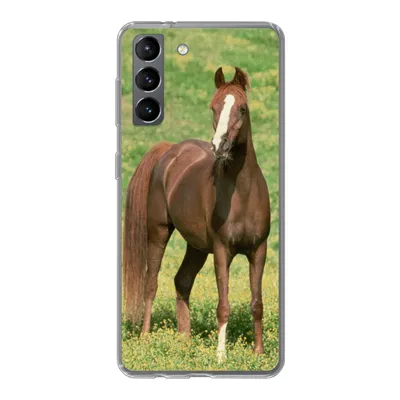 Produktbild von MuchoWow® Handyhülle Schutzhülle Hülle für Samsung Galaxy S21 Pferde - Gras - Braun Silikon Softcase Handy Hülle - Softcase