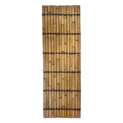 Obrázek produktu pro Panel z půlkruhových bambusových tyčí přírodní barvy 90 x 270 cm (bambusový plot)