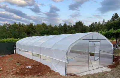 Obrázek produktu pro Skleník PROFI TOP MODEL 2025 – 5x10 m, skleník s polykarbonátovými bočnicemi, 1x posuvné dveře a veškerá výztuž, kvalita výrobku EU