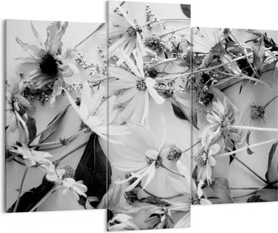 Produktbild von Bild auf Leinwand - Leinwandbild - 3 Teile - Blumen Schwarzweiß Fotografie - 130x100cm - Wand Bild - Wanddeko - Wandbilder - Leinwanddruck - Bilder - Wanddekoration - Leinwand bilder - CB130x100-4740