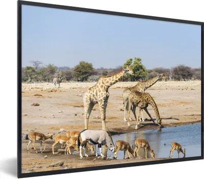 Produktbild von MuchoWow® MuchoWow® Gerahmtes Poster Tiere - Trinken - Afrika 40x30 cm - Poster mit zchwarzem Bilderrahmen - Kunstposter - Wanddekorationen