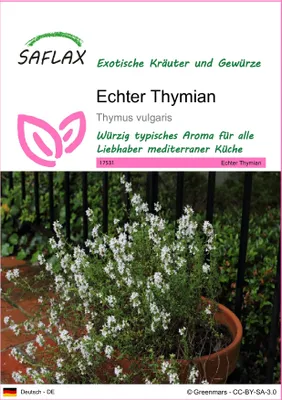 Produktbild von SAFLAX - Echter Thymian - Thymus vulgaris - 200 Samen