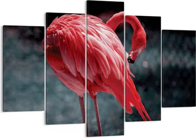 Produktbild von Bild auf Leinwand - Leinwandbild - 5 Teile - Flamingo Rosa Vogel - 150x100cm - Wand Bild - Wanddeko - Wandbilder - Leinwanddruck - Bilder - Wanddekoration - Leinwand bilder - Wandbild - EA150x100-4551