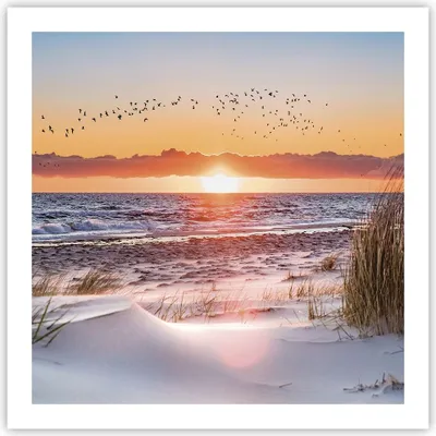 Produktbild von Poster - Poster ohne Rahmen - Sonne Strand Vögel - 60x60 cm - Wand Bild - Wanddeko - Wandbilder - Kunstposter - Wandposter - Bilder - Kunstdruck - Wanddekoration - Wandbild - P2XAC60x60-4727