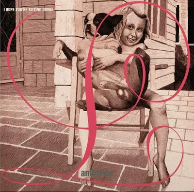 Productafbeelding van Lambchop - I Hope You're Sitting Down (Heruitgave) (Limited Edition) (2 LP's)