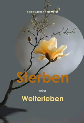 Produktbild von Buch über existenzielle Fragen: Was geschieht nach dem Tod? Gibt es ein Jenseits?