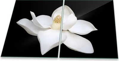 Produktbild von Herdabdeckplatte Glaskeramik 2-Teilig 2x40x52 Blumen Weiß Abdeckung Spritzschutz Glas