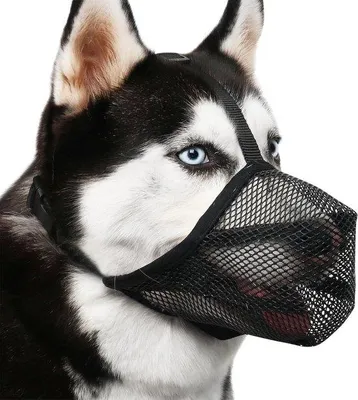 Produktbild von Großes Hundemaulkorb-Set (L) aus dichtem Nylon für große Hunde.