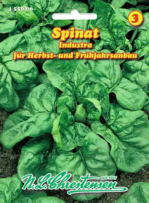 Produktbild von Spinat Industra | Spinatsamen von N.L. Chrestensen