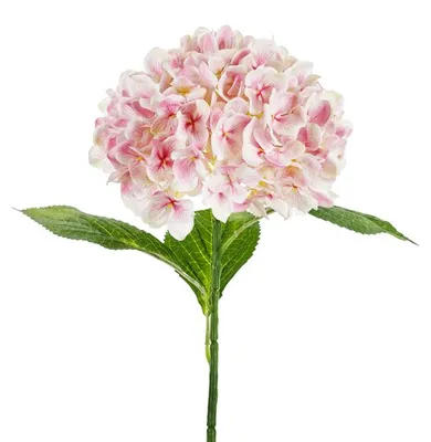 Obrázek produktu pro Umělá květina - hortenzie Premium, 69 cm, světle růžová