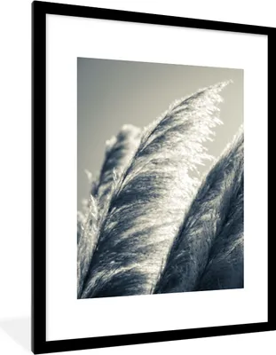 Produktbild von MuchoWow® Gerahmtes Poster Pampasgras - Schwarz - Weiß - Natur 60x80 cm - Poster mit Schwarzem Bilderrahmen Wandposter Rahmen Foto Bilder - Wohnzimmer - Dekorationen - Prämie