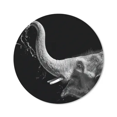 Produktbild von MuchoWow® Mauspad Mousepad Porträt - Elefant - Tiere - Schwarz und weiß 20x20 cm - Mousepads - Maus Mat - Pad - Mausunterlage - Schreibtischmatte