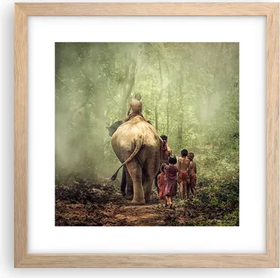 Produktbild von Gerahmtes Poster - Rahmen in heller Eiche - Elefant Dschungel Nebel - 30x30 cm - Wand Bild - Wanddeko - Wandbilder - Wandposter - Bilderrahmen - Bilder - Kunstdruck - Wandbild - P2NAC30x30-3438
