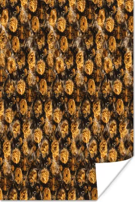 Produktbild von MuchoWow® Poster Blumen - Gelb - Collage 120x180 cm - Kunstposter