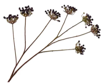 Produktbild von Silk-ka Kunstblume – Seidenblumen-Beerenzweig, lila, 106 cm