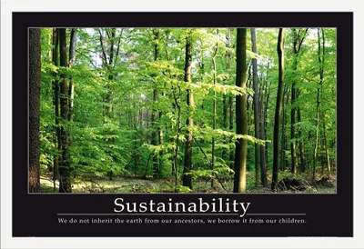Image de Motivational - Poster - Sustainability + cadre amovible, Shinsuke® Maxi MDF blanc, vitre acrylique