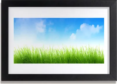 Produktbild von Bild 30x20 MDF-Rahmen Wandkunst Gras Natur Pflanze
