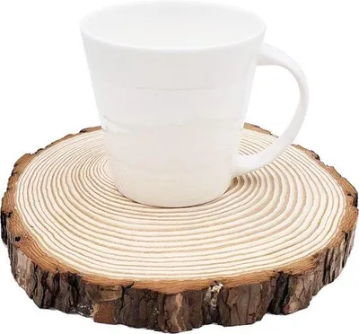 Image de Famanu : 5 rondelles de bois non traitées, diamètre 18-20 cm