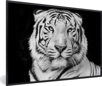 Produktbild von MuchoWow® Gerahmtes Poster Tiger - Schwarz - Weiß - Porträt - Tiere 30x20 cm - Poster mit Schwarzem Bilderrahmen Wandposter Rahmen Foto Bilder - Kunstdruck - Bild-Poster