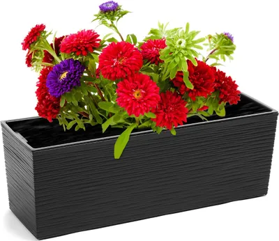 Zdjęcie produktu dla Pudełko Plastikowe 56Cm Begonia Lamela